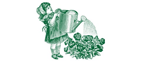 little girl watering a flower garden