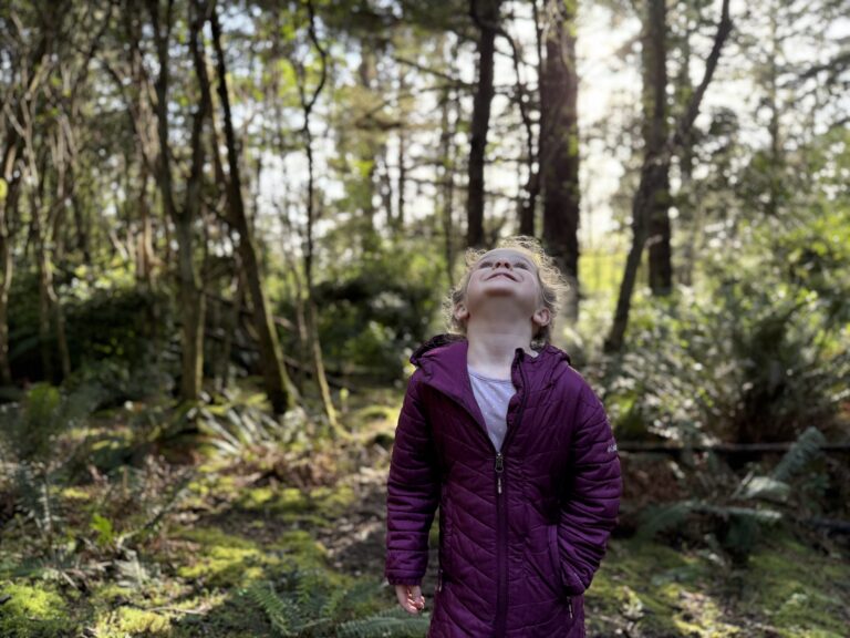 Wild and Free Catholic Living: Creation with Our Children