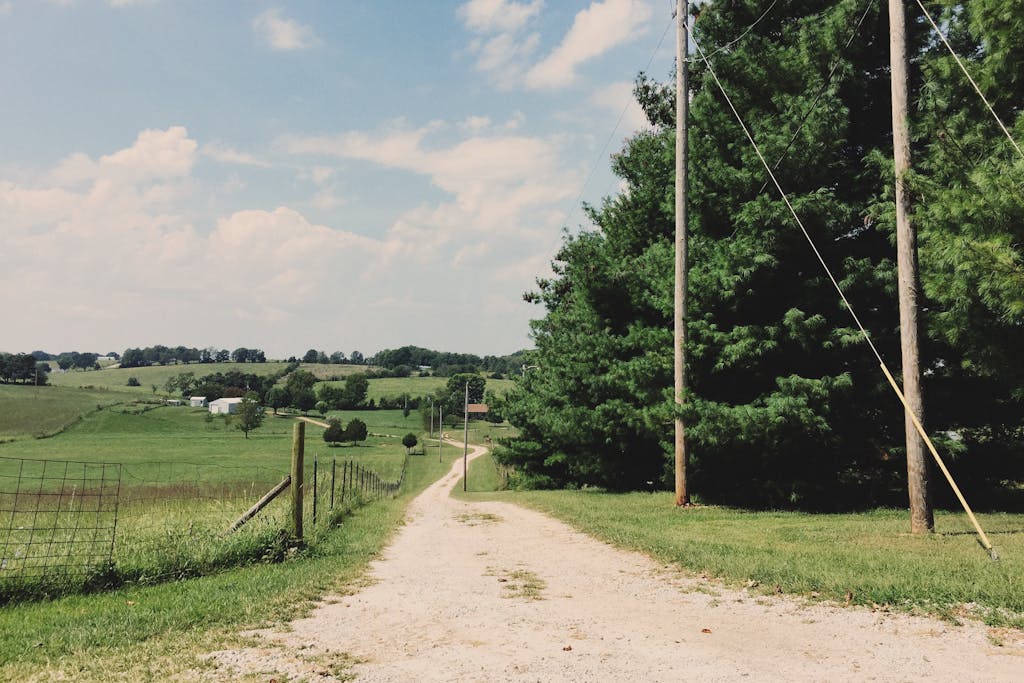 Scenic rural landscape with a dirt road meandering through lush green fields and trees under a clear sky.